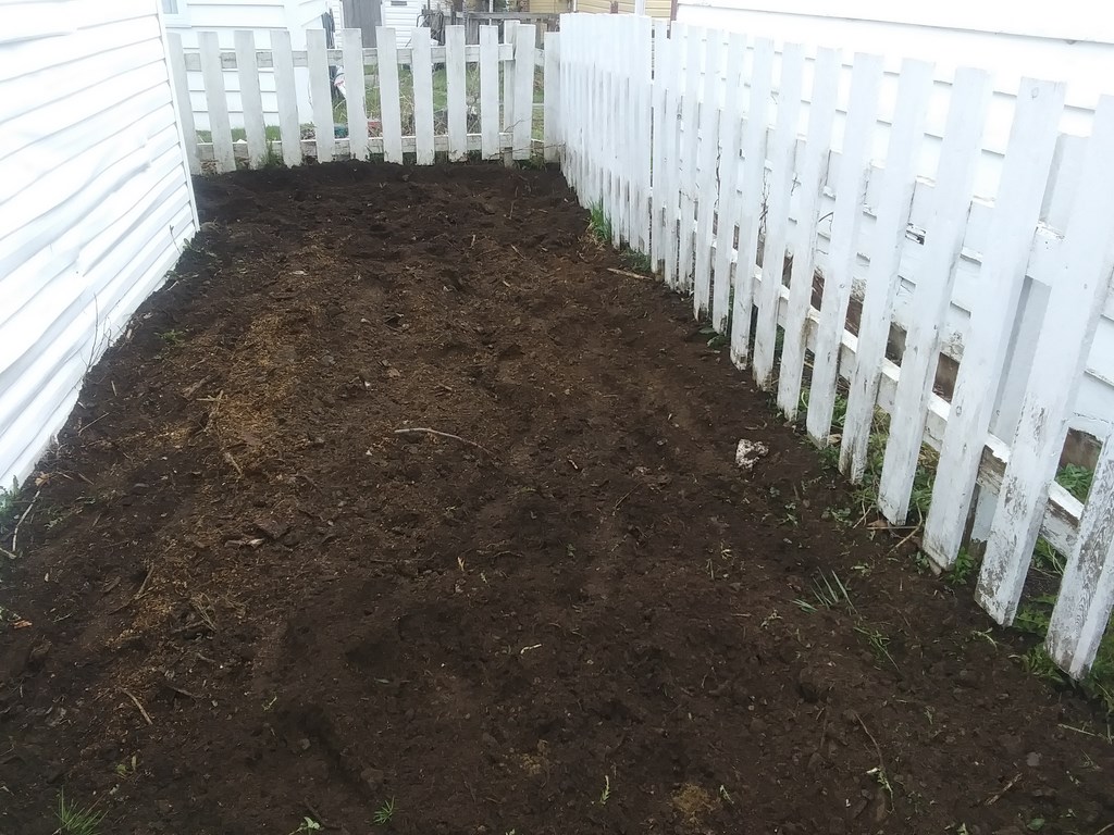 Christopher Greaves SecondEssays_20240516_100522.jpg